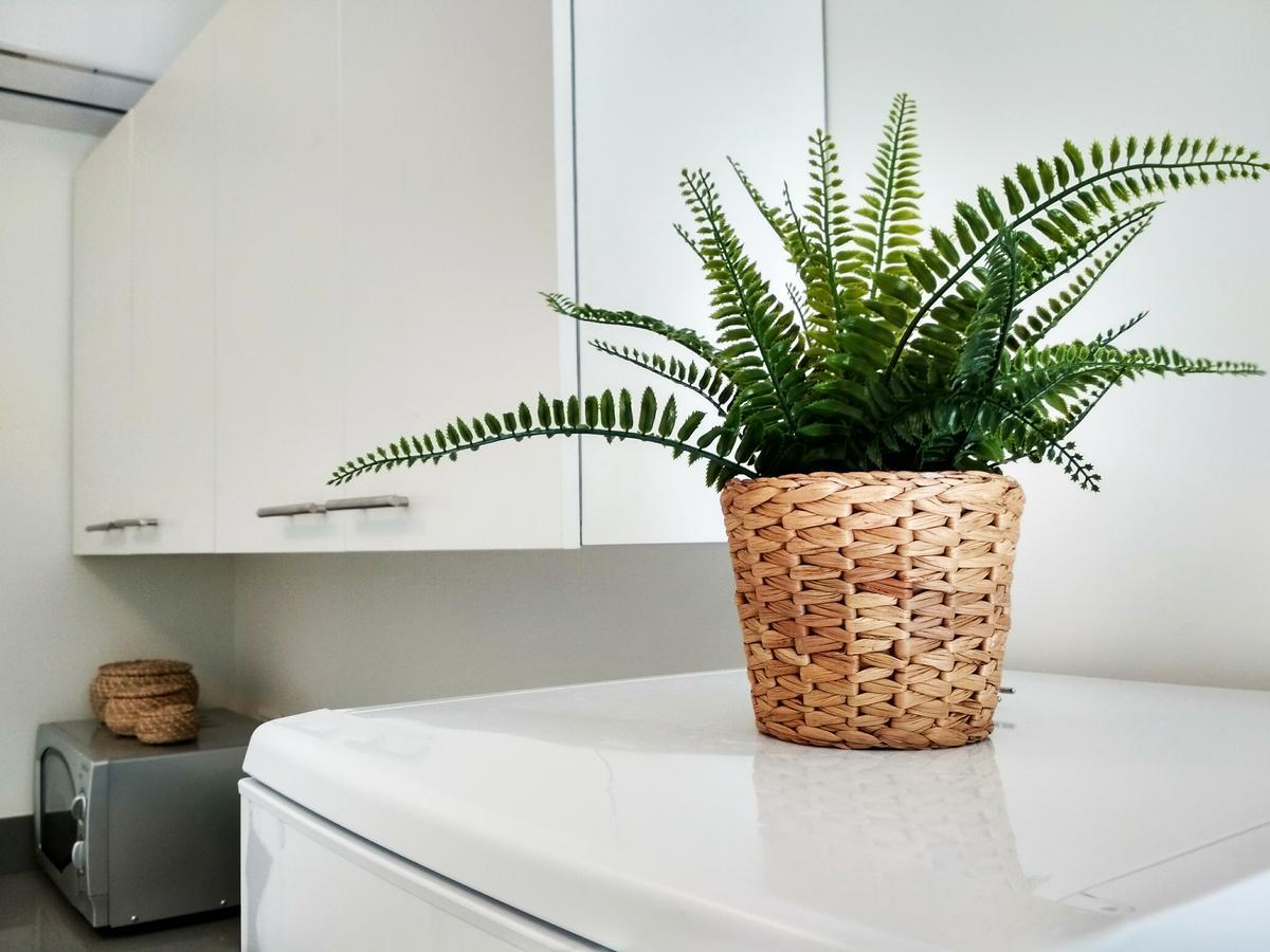 Beautiful Studio On Jerusalem Boulevard 텔아비브 외부 사진